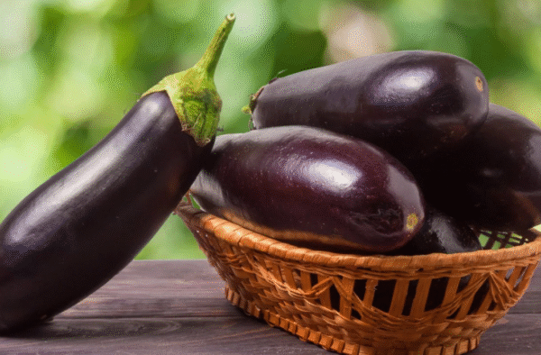 Fresh Brinjal