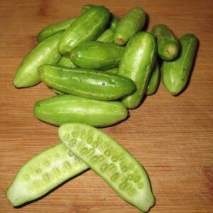 Tindora-The-Ivy-Gourd-