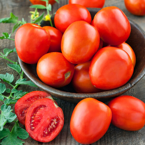 Fresh Tomat