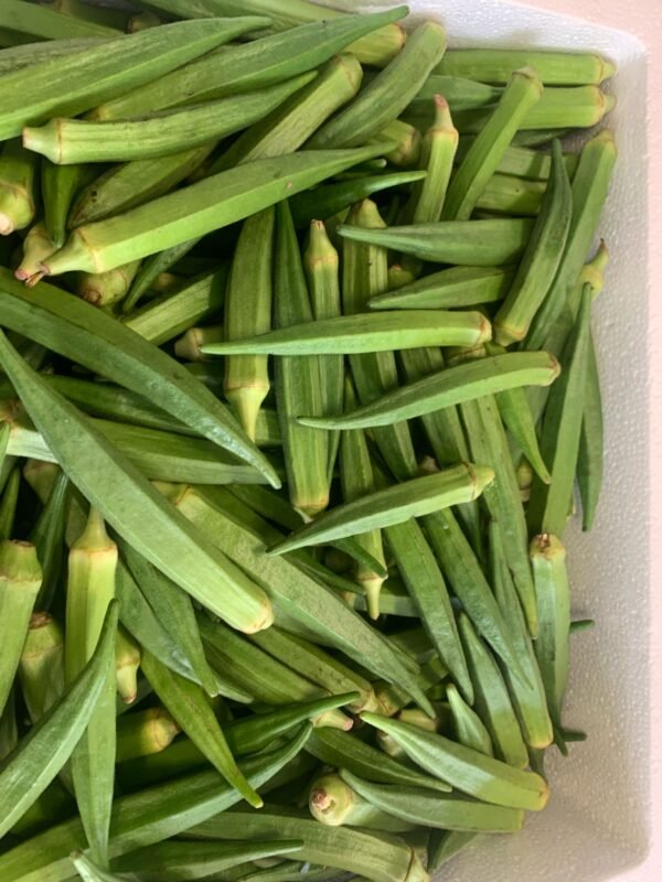 Fresh Okra