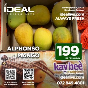 Alphonso mango