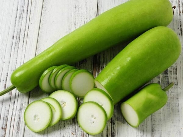 Fresh/Farsk Dudhi-Bottle Gourd/loki