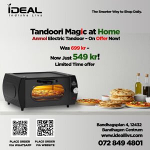 Anmol Electric Tandoor Oven